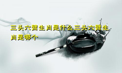 三头六臂生肖是什么三头六臂生肖是哪个