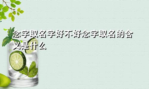 念字取名字好不好念字取名的含义是什么
