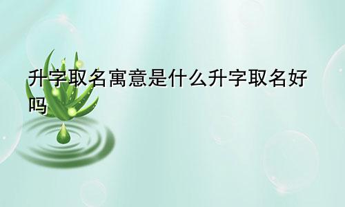 升字取名寓意是什么升字取名好吗