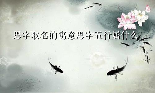 思字取名的寓意思字五行属什么