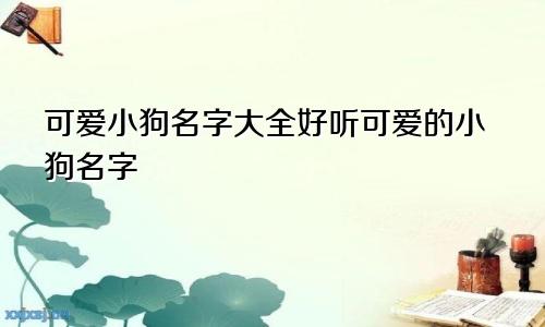 可爱小狗名字大全好听可爱的小狗名字