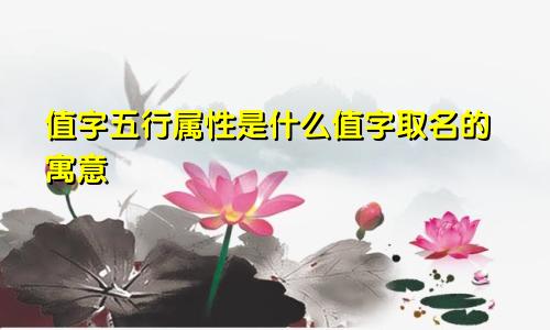 值字五行属性是什么值字取名的寓意