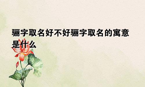 骊字取名好不好骊字取名的寓意是什么