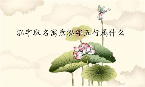 泓字取名寓意泓字五行属什么
