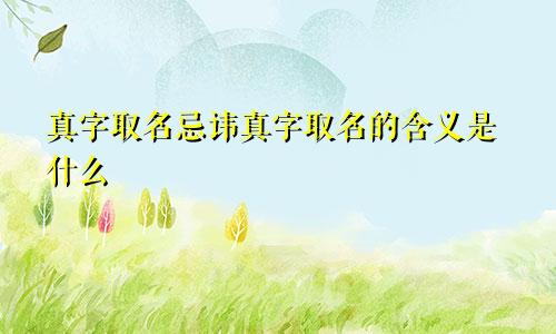 真字取名忌讳真字取名的含义是什么