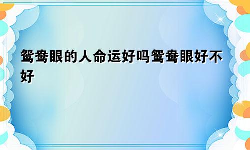 鸳鸯眼的人命运好吗鸳鸯眼好不好
