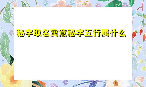 秘字取名寓意秘字五行属什么