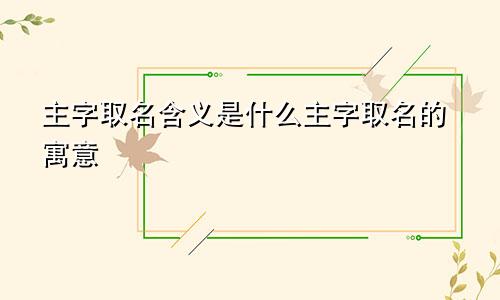 主字取名含义是什么主字取名的寓意