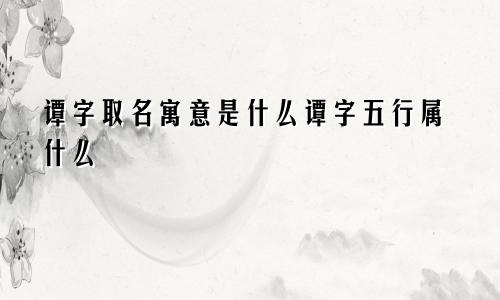 谭字取名寓意是什么谭字五行属什么
