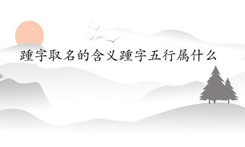 踵字取名的含义踵字五行属什么
