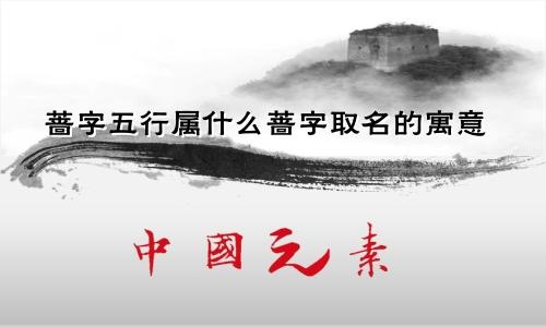 蔷字五行属什么蔷字取名的寓意