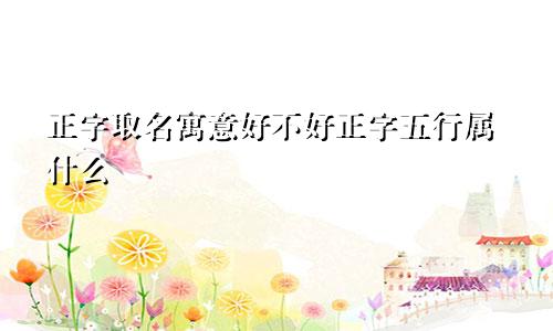 正字取名寓意好不好正字五行属什么