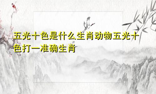 五光十色是什么生肖动物五光十色打一准确生肖