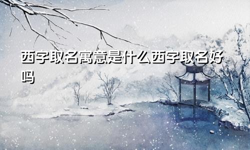 西字取名寓意是什么西字取名好吗