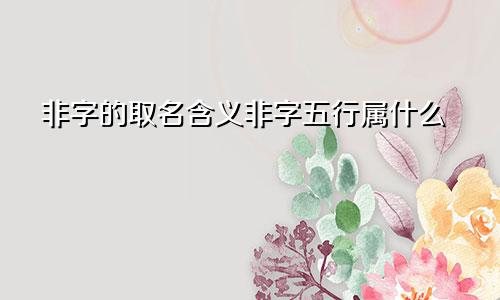非字的取名含义非字五行属什么