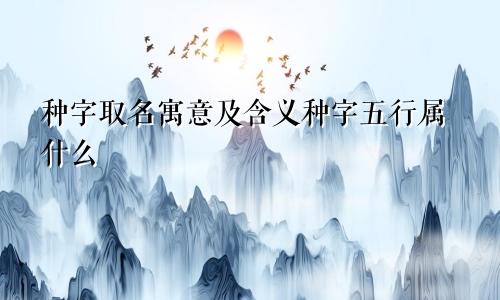 种字取名寓意及含义种字五行属什么