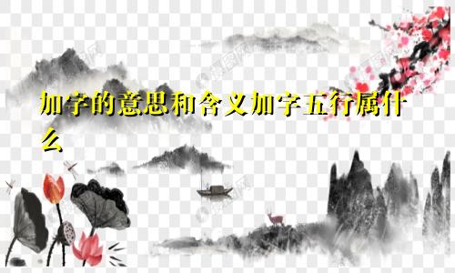 加字的意思和含义加字五行属什么