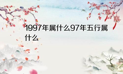 1997年属什么97年五行属什么