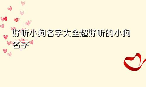 好听小狗名字大全超好听的小狗名字