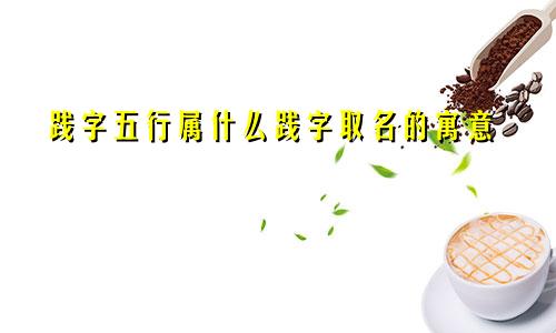 践字五行属什么践字取名的寓意