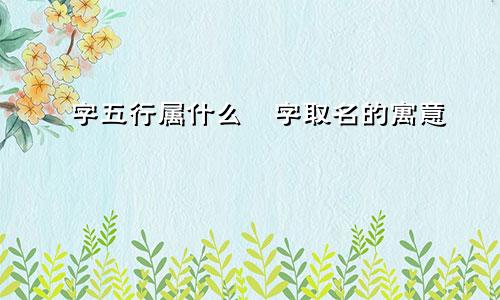 弢字五行属什么弢字取名的寓意