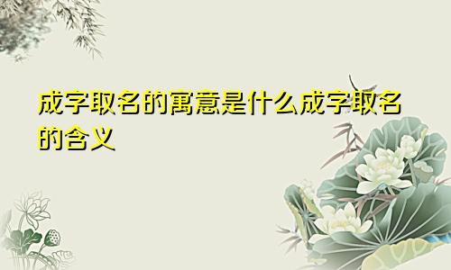 成字取名的寓意是什么成字取名的含义