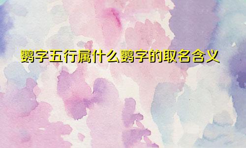 鹦字五行属什么鹦字的取名含义