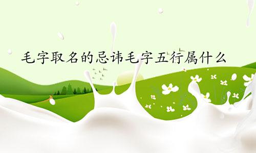 毛字取名的忌讳毛字五行属什么