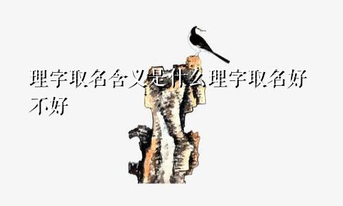 理字取名含义是什么理字取名好不好