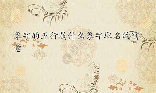 象字的五行属什么象字取名的寓意