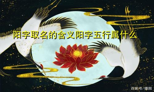 阳字取名的含义阳字五行属什么