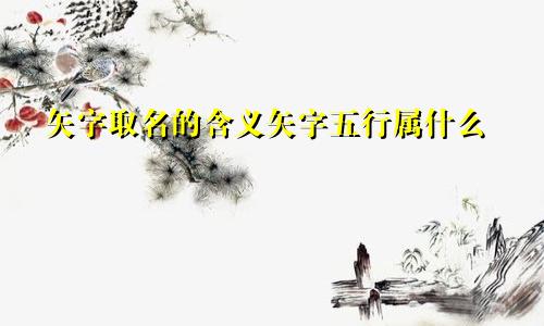 矢字取名的含义矢字五行属什么