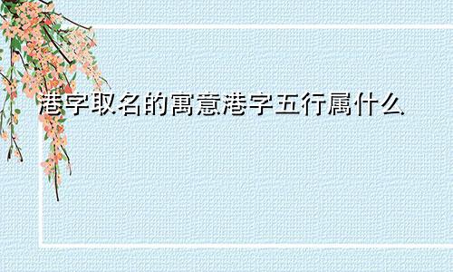 港字取名的寓意港字五行属什么