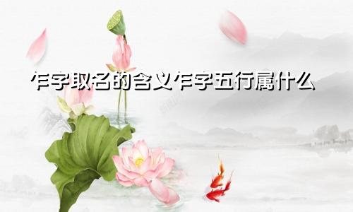 乍字取名的含义乍字五行属什么