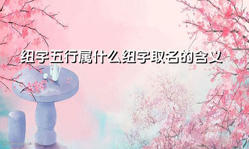 纽字五行属什么纽字取名的含义