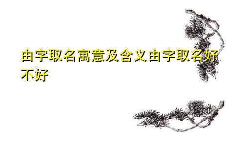 由字取名寓意及含义由字取名好不好