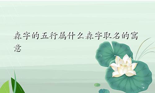 森字的五行属什么森字取名的寓意