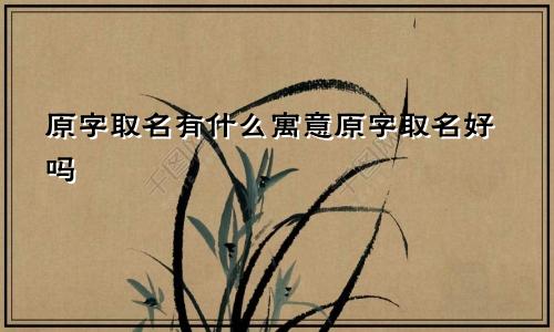 原字取名有什么寓意原字取名好吗