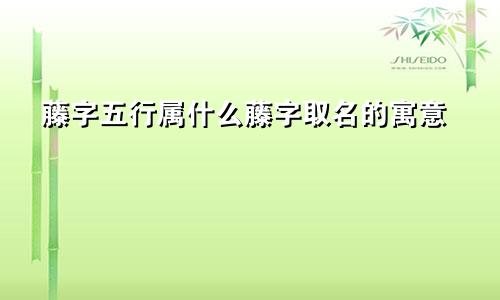 藤字五行属什么藤字取名的寓意