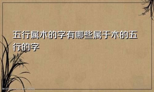 五行属木的字有哪些属于木的五行的字