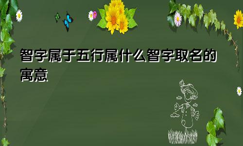 智字属于五行属什么智字取名的寓意