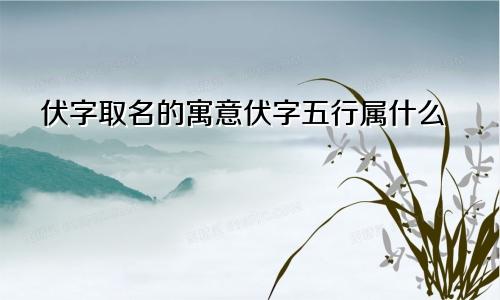 伏字取名的寓意伏字五行属什么