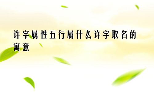 许字属性五行属什么许字取名的寓意