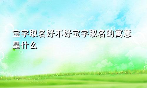 宝字取名好不好宝字取名的寓意是什么