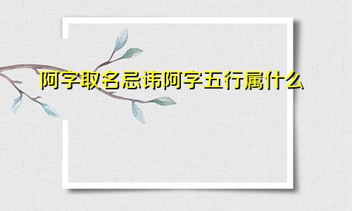 阿字取名忌讳阿字五行属什么