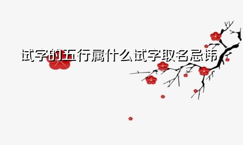 试字的五行属什么试字取名忌讳