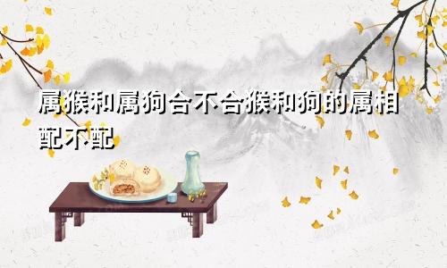 属猴和属狗合不合猴和狗的属相配不配