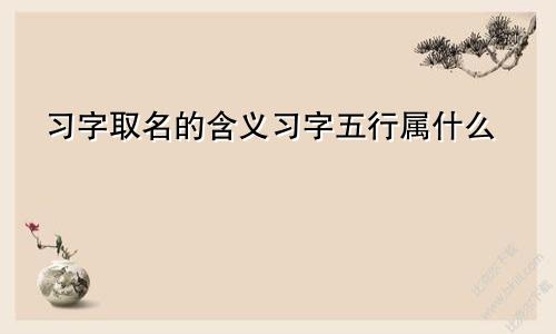 习字取名的含义习字五行属什么