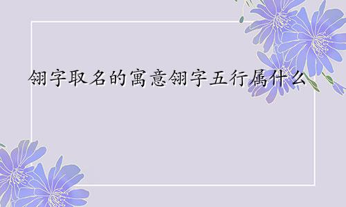 翎字取名的寓意翎字五行属什么