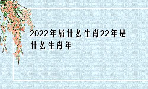 2022年属什么生肖22年是什么生肖年